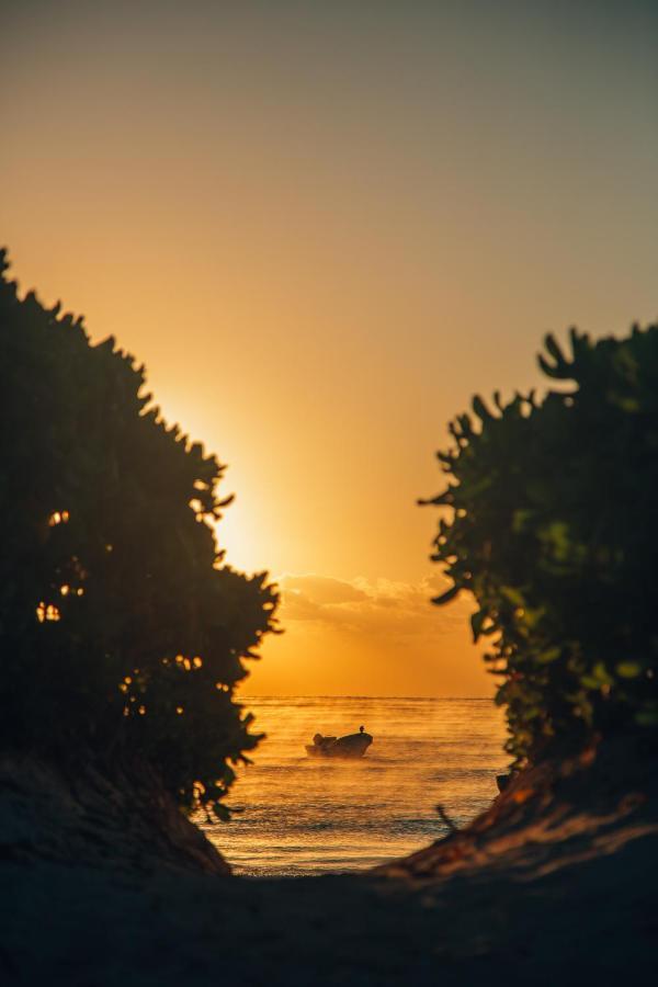 Glamp Ikal Tulum Hotel Exterior photo